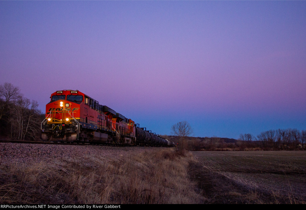 Rosey Skies at Rose